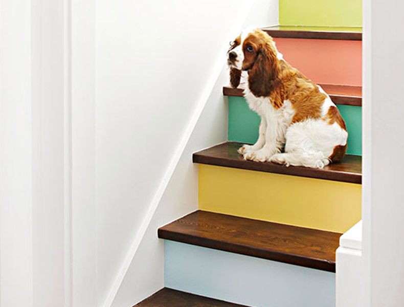 Paint the hallway steps a rainbow of colours